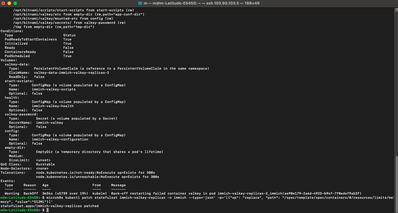 A deep-dive terminal view of the failing Valkey pod's configuration. At the bottom, a kubectl patch command is being executed to increase the memory limits to 512Mi, showing the transition from a restricted state to an elastic, healthy one.
